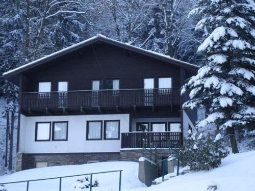 Chalet in Dolní Brusnice near Ski Lift
