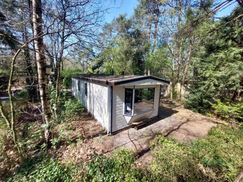 Chalet in Hattemerbroek 'Boshuisje Dennenrust'