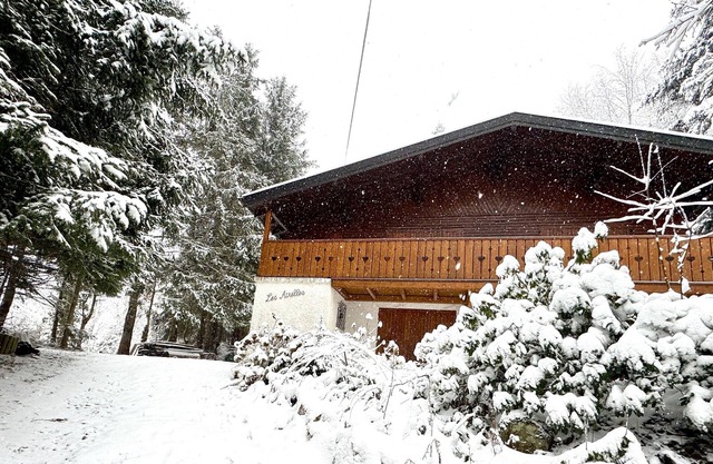 Chalet Les Airelles