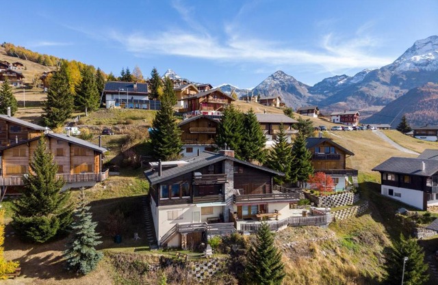 Chalet Panorama
