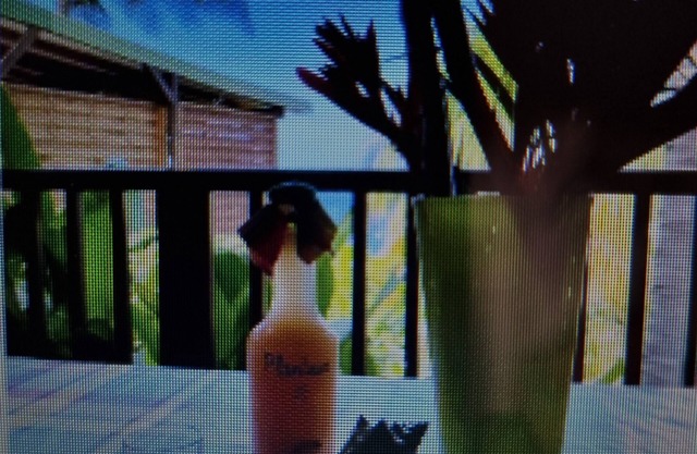 Chalet Tobago vue mer Panoramique