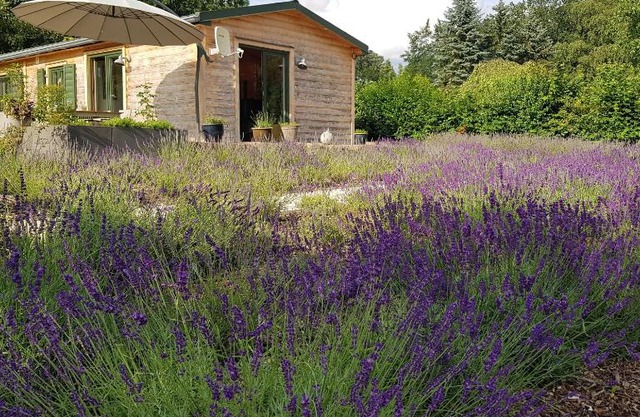 Chalet "Waldhauszeit" am See