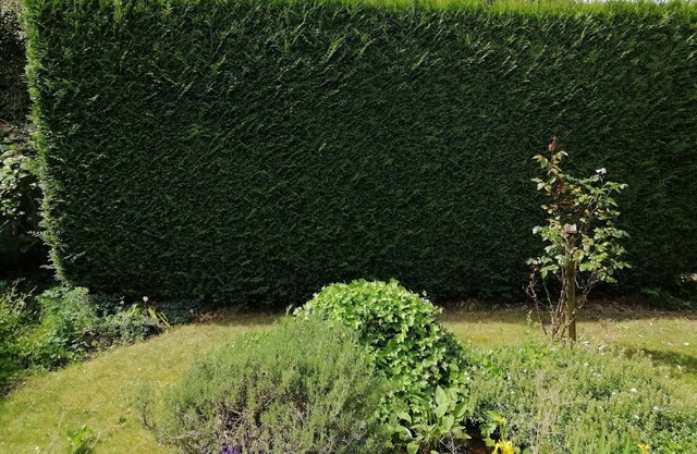 Chambres D'hôte "l'écureuil" Proche de Mons, Pairi Daiza, à Côté de Spark'oh