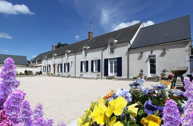 Chambres d'hôtes rénovées près des châteaux de la Loire avec expérience ULM possible - FR-1-590-309