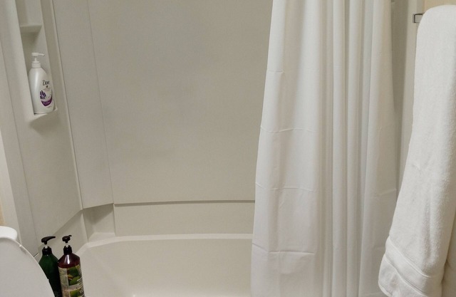 Charm remodeled 2b 2b with 2/p space only 7 minutes from down town