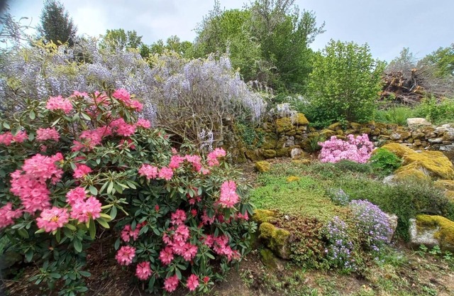 Charming country house near the forest with swimming pool and private garden