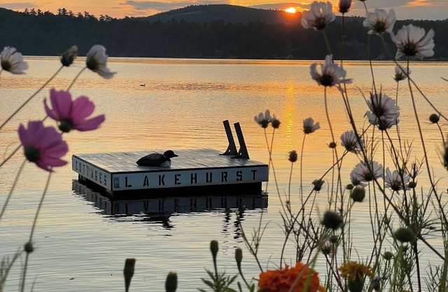 Charming 1 bedroom Lakefront Cottage