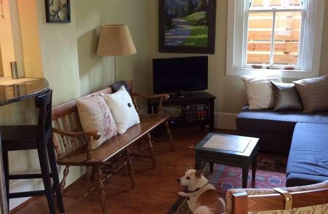 Charming 1911 cottage in the heart of Asheville - walk 4 blocks to downtown