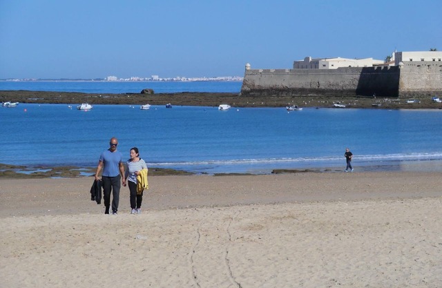 Charming and bright apartment just 100m from the beach