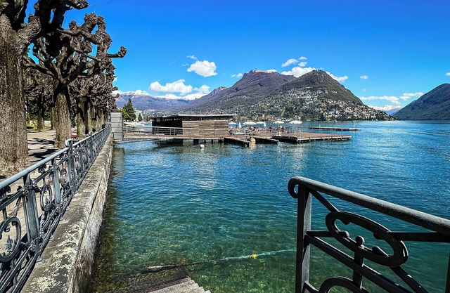 Charming and stylish newly renovated 1BR oasis near Lake Lugano!