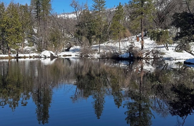 Charming cabin in pleasant Auberry close to Shaver Lake. A hidden treasure!