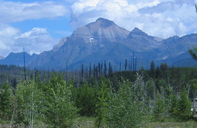 Charming cabin with Incredible Mountain Views!