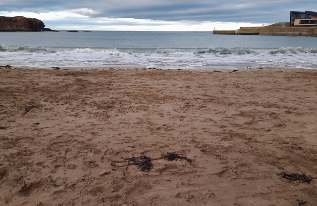 Charming Eyemouth 1-Bed Apt, Sleeps 2 near Beach