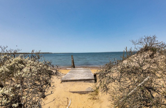 Charming Hampton's Beachfront Escape