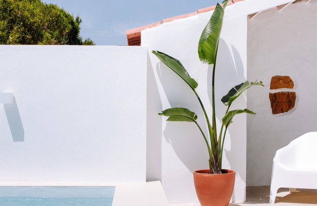 Charming loft with private heated* plunge pool and garden + shared swimming pool