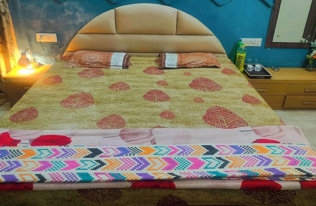 Charming studio in Raipur with WiFi, AC, with chhattisgarhi traditional food