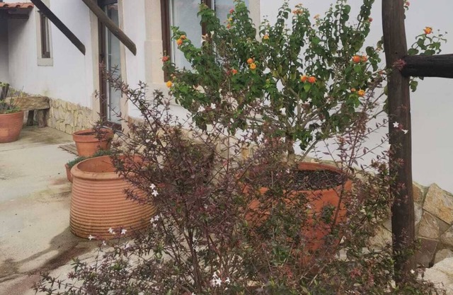 Charming T1 Mãe d'água, 2 km from Óbidos