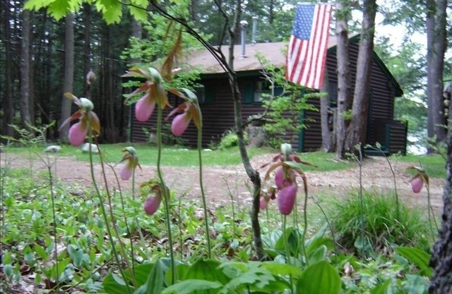 Charming Waterfront Cabin in the Woods