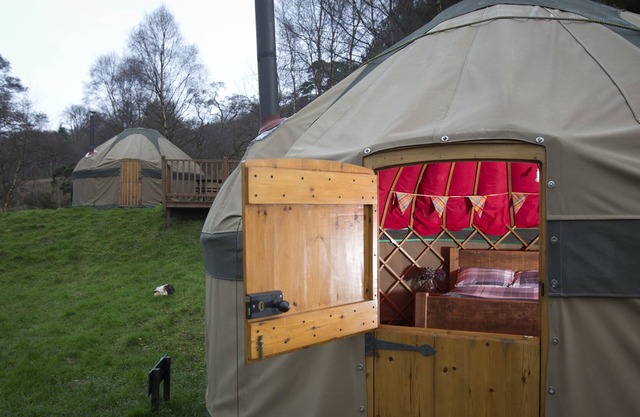 Charming Yurt in Kelburn Estate near Largs