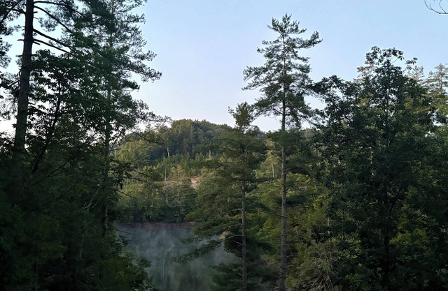 Chasin Turkeys is a Charming 2-bedroom Lakefront cabin in Red River Groge