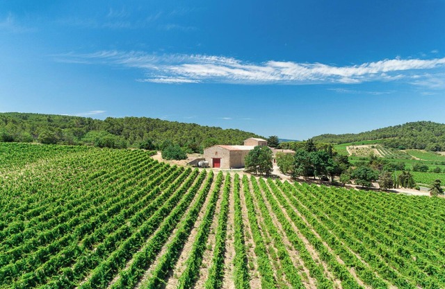 Chateau de Prax Viel, swimming pool, mini farm, air-conditioned - Gîte Grenache