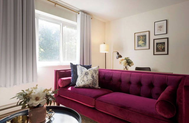 Chic Apt Near SLU Hospital & Major Hospitals 🏥