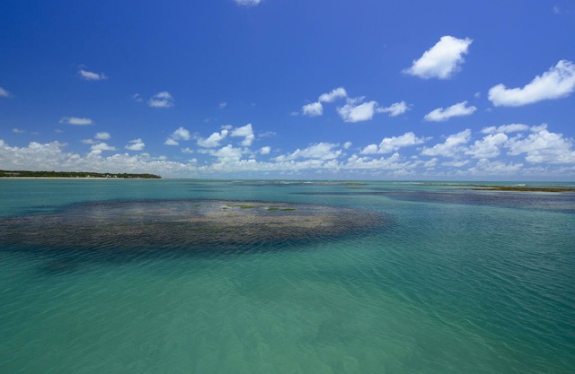 Chocolate with Pepper Building