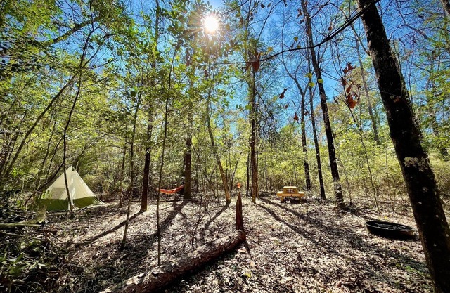 Christian Retreat Campsite #5 - Hidden Holly