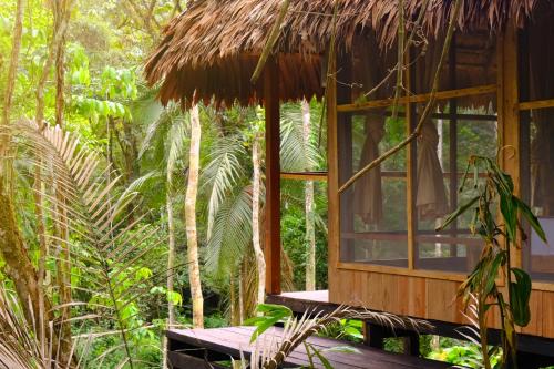 CHUNAKI ECOLODGES - Authentic Activities and Food in the Amazon
