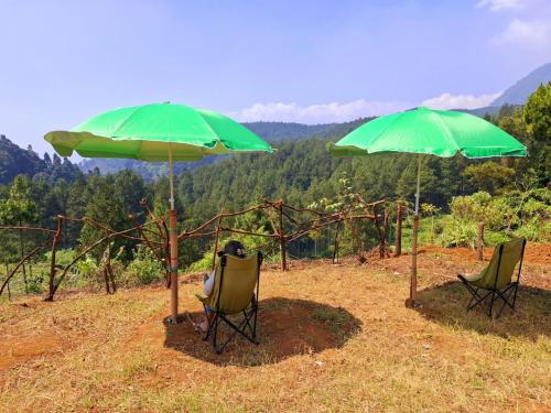 Ciwidey Jungle Camp & Cabin