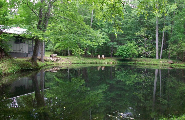 Clean, Comfortable, Single-Story on Rushing Compass Creek w/Private Swim Pond