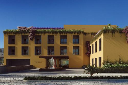 Clevia, San Miguel de Allende, Autograph Collection