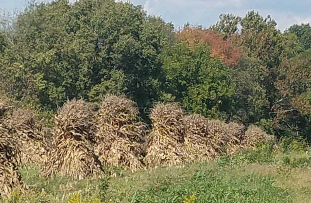 Close to Indiana Beach. Pet friendly!