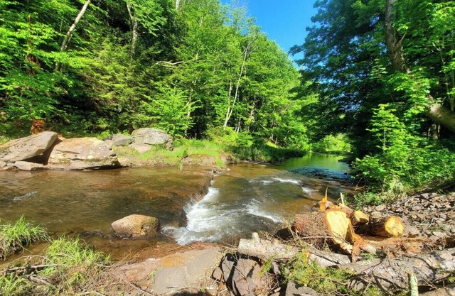 Close to skiing in Windham and Hunter, hiking, lakes, 20+restaurants