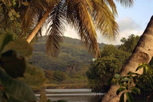 Coco Carïb - Cabane vue Mer & Massages