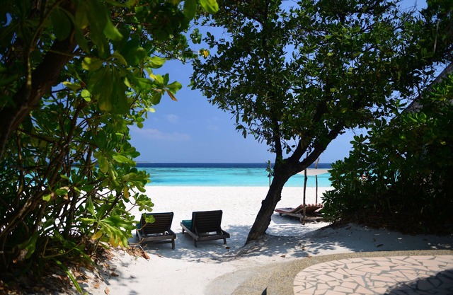 Coco Palm Dhuni Kolhu