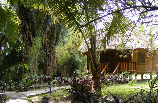 Cohune Palms River Cabanas