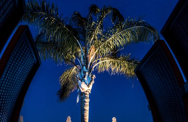 Colonides Beach Hotel