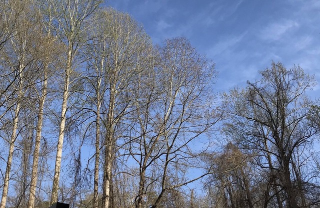 Come Enjoy The Small Homestead Oasis.