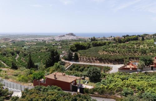 Comeback Cortijo Nirvana