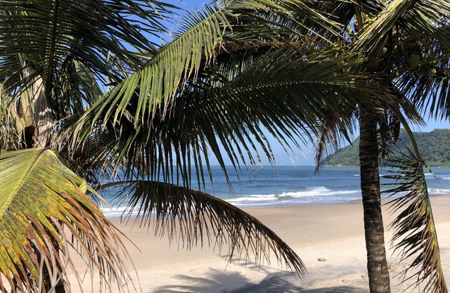 Comfort and Good Taste - Asturias Beach and Tombo - Privileged Location