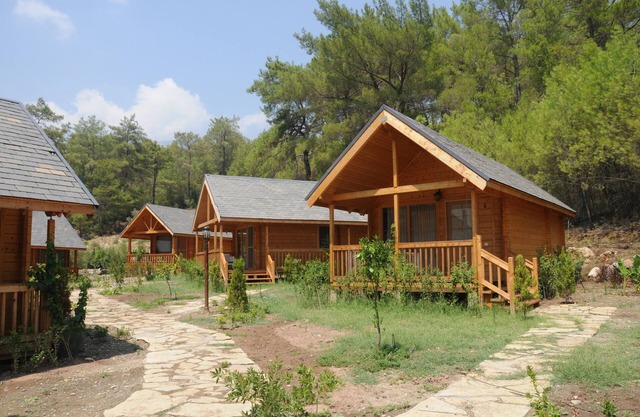 comfortable and cosy log houses in the great nature Olympos Antalya Turkey