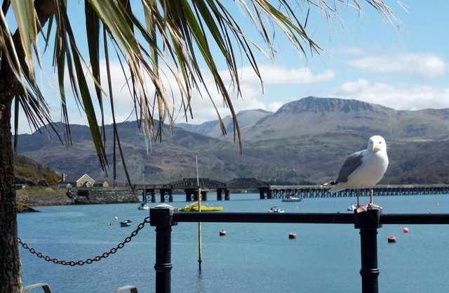 Comfortable apartment with fabulous views and shared terrace.