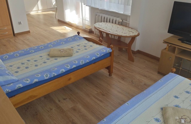 Comfortable Apartment with balcony in Gdańsk Oliwa