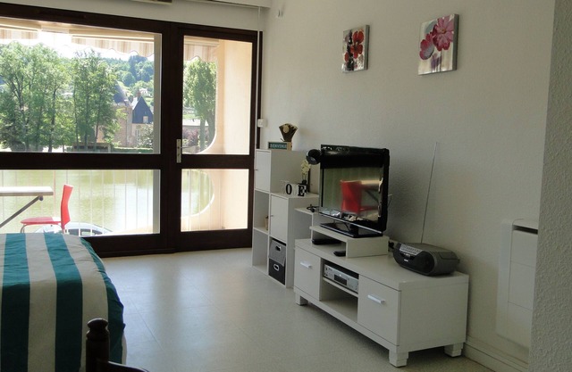 Comfortable studio with view of pond and Chateau