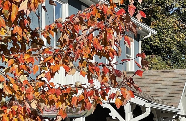 Comfy modernized farmhouse in small village near major roads and attractions.