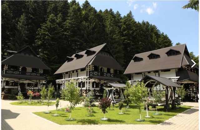 Complex Lions Bucovina