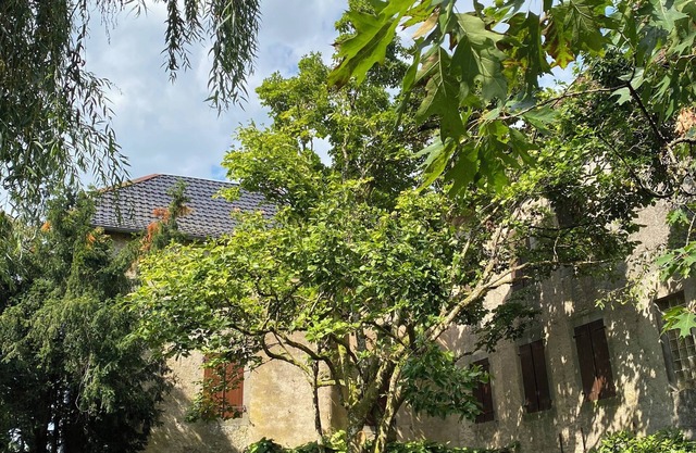 Comtoise family house