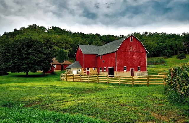 Continental and American breakfast options are available every morningn