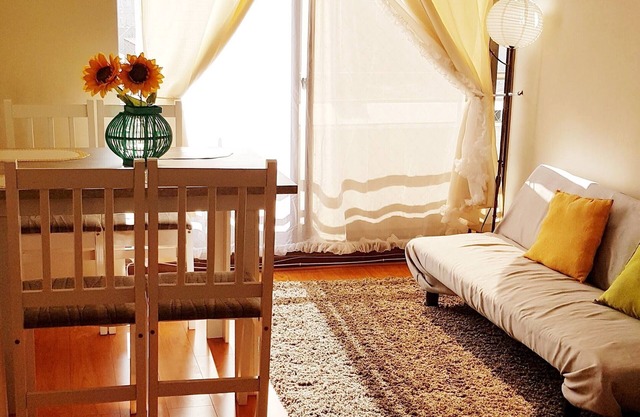 Convenient and Bright Bellas Artes apartment
